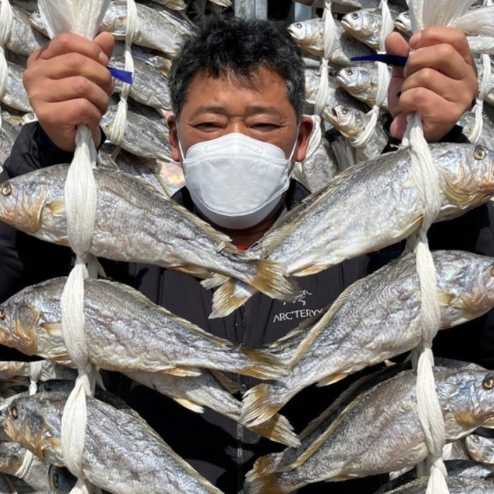 영광 법성포 영광굴비 보리굴비 산지직송 국산 참조기, 1박스, 대 1.4kg/20미(16-17cm) 39,900원