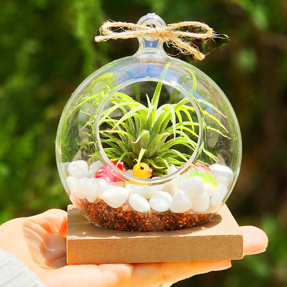 테라리움 만들기 테라리움키트 diy 미니 동물농장 이오난사 mdf받침대 수업 재료 5,040원