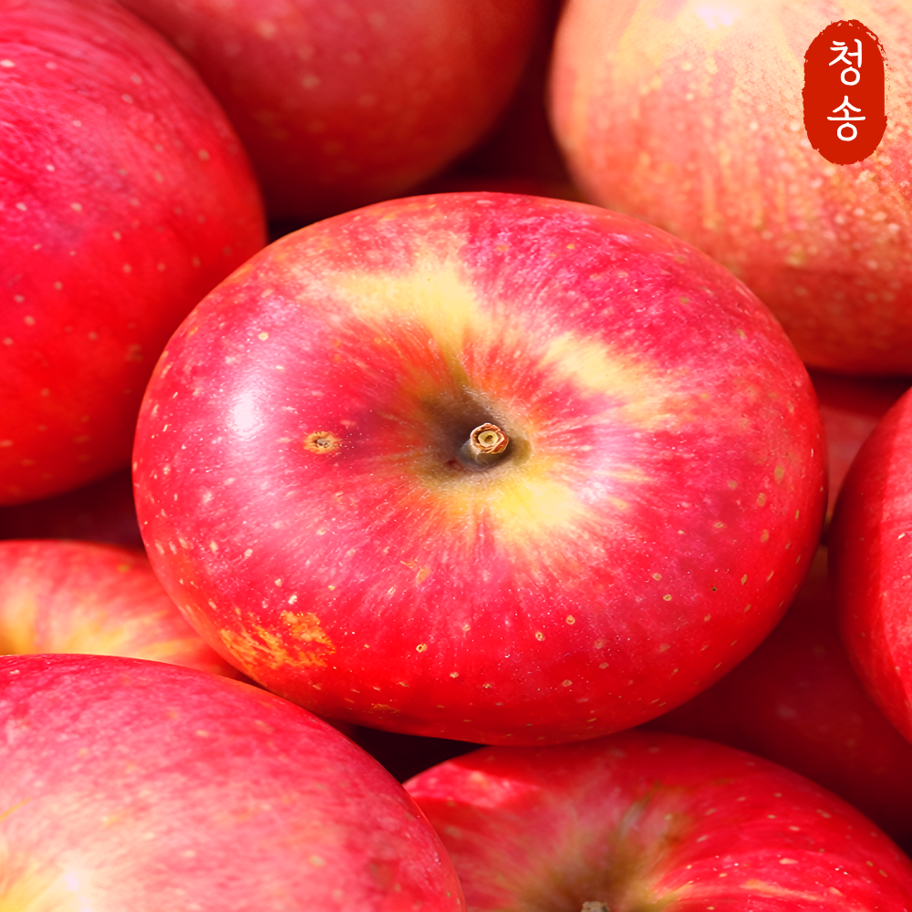 [부자사과]  맛있는 고당도 청송 꿀사과 33,970원