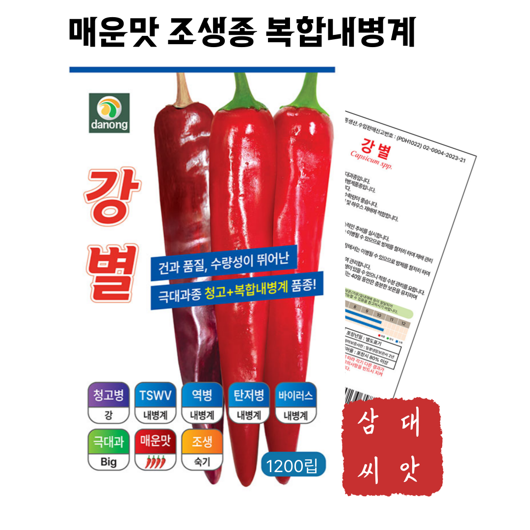 복합내병계 고추씨앗 고추종자 강별 청고병내병계 고추품종 조생종 극대과종 26년 햇종자, 1개 130,000원