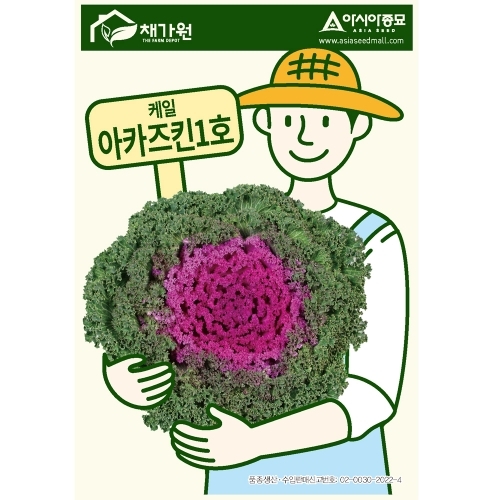 꽃씨앗종자 꽃양배추 아카즈킨1호 (20립) 적로즈 ASA 5,000원