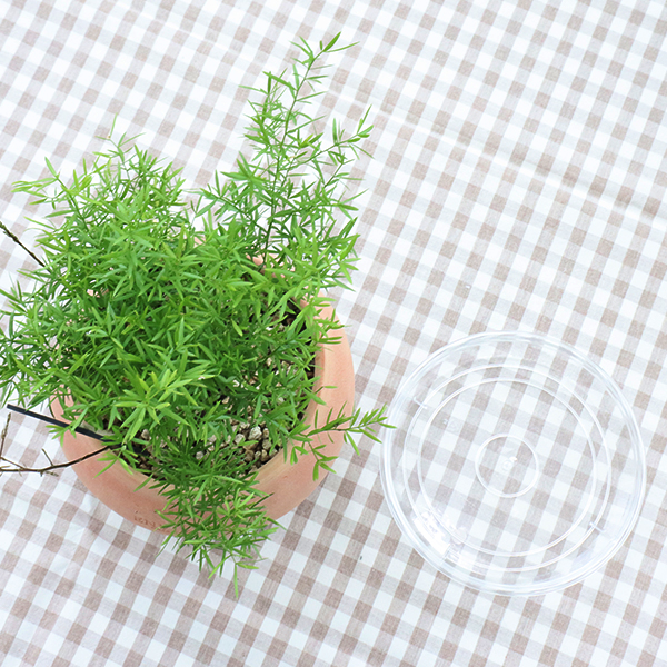 모리앤 아크릴 화분 받침, 투명, 2개 4,390원