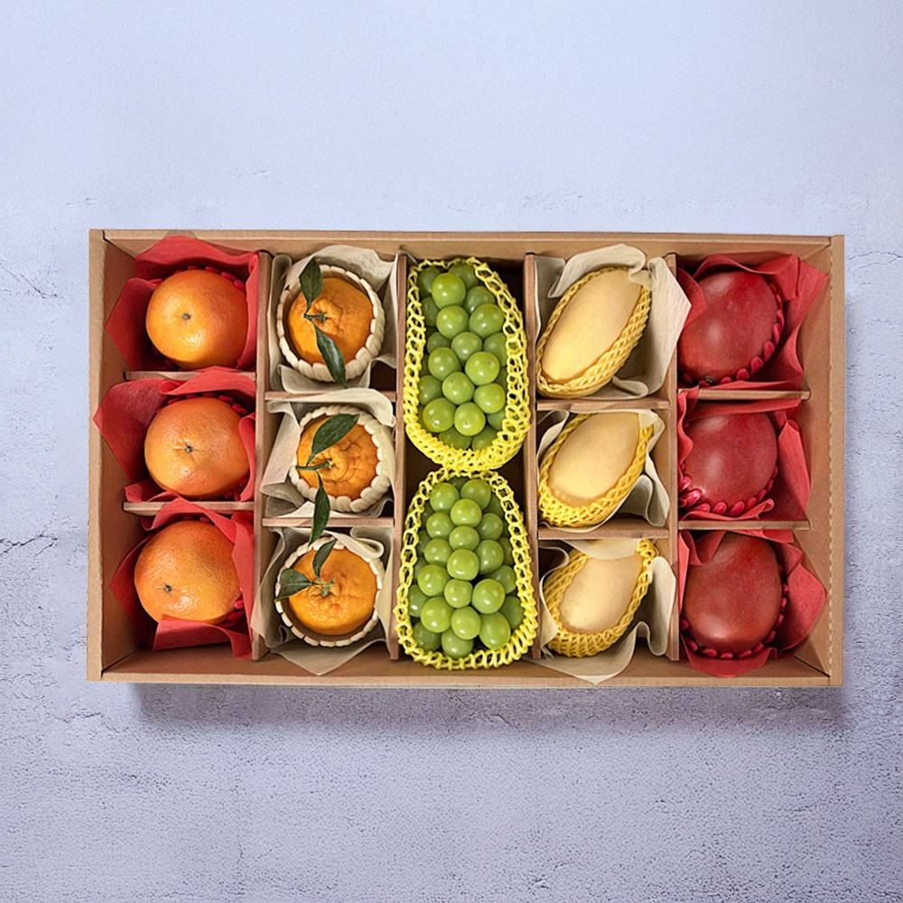 2026 설날 프리미엄 과일 선물세트 한라봉/레드향/샤인머스켓/골드망고/애플망고, 1박스 122,900원