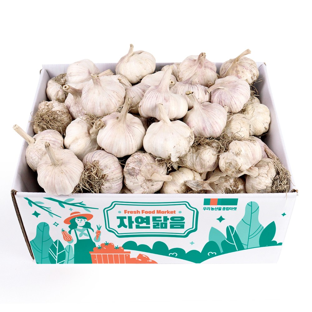 자연닮음 2차 선별된 국산 햇 정품 저장 통마늘, 1개 27,500원