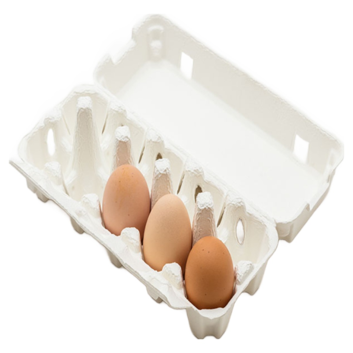 (부화용) 한엽 3호종 슈퍼 토종닭 - 유정란 3개 10,000원