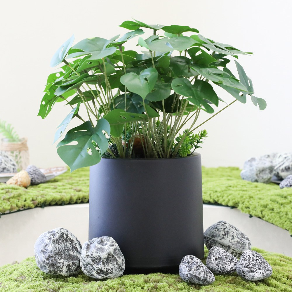 인조식물 인테리어 미니화분 실내 테이블플랜트 조화화분 큐티몬스테라화분, 조화화분 큐티몬스테라화분 19,900원