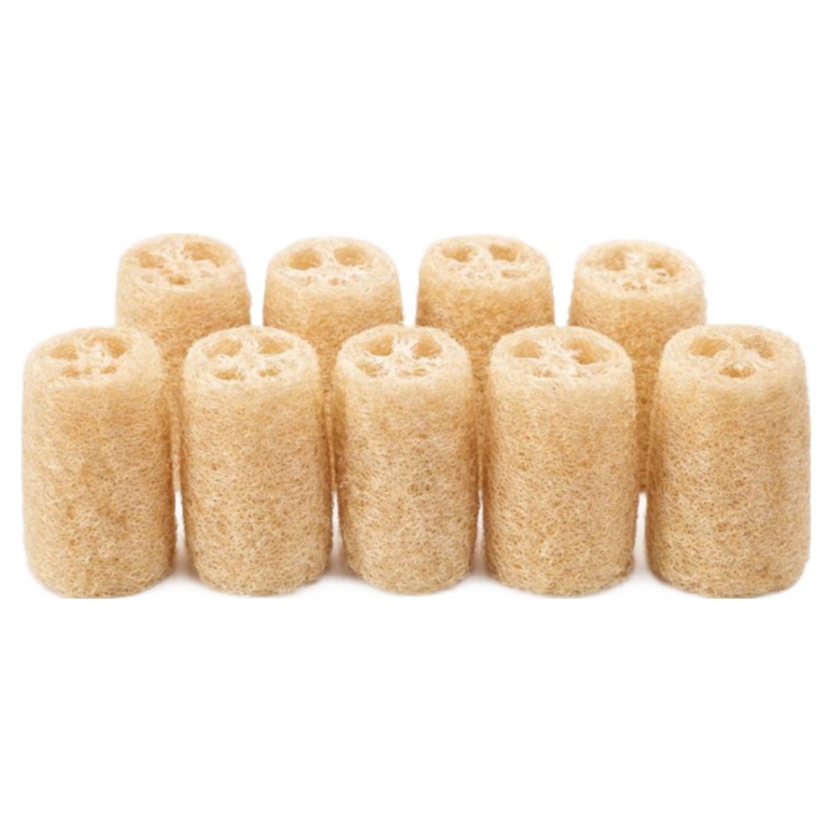 지구오필리아 주방 천연수세미 10개 (10~15cm), 1세트, 10개 10,800원