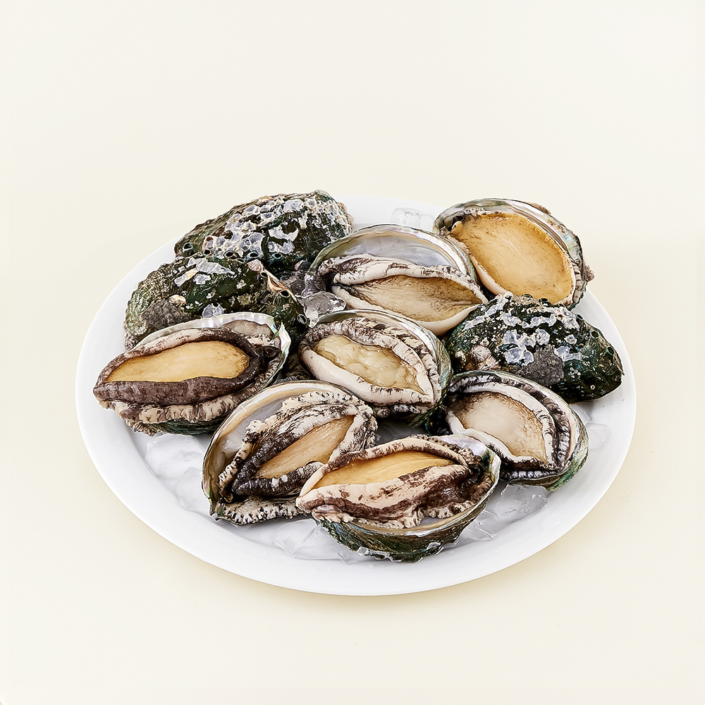 [로켓프레시] 아라보감 ASC 인증 국내산 전복 대 (냉장) 27,880원