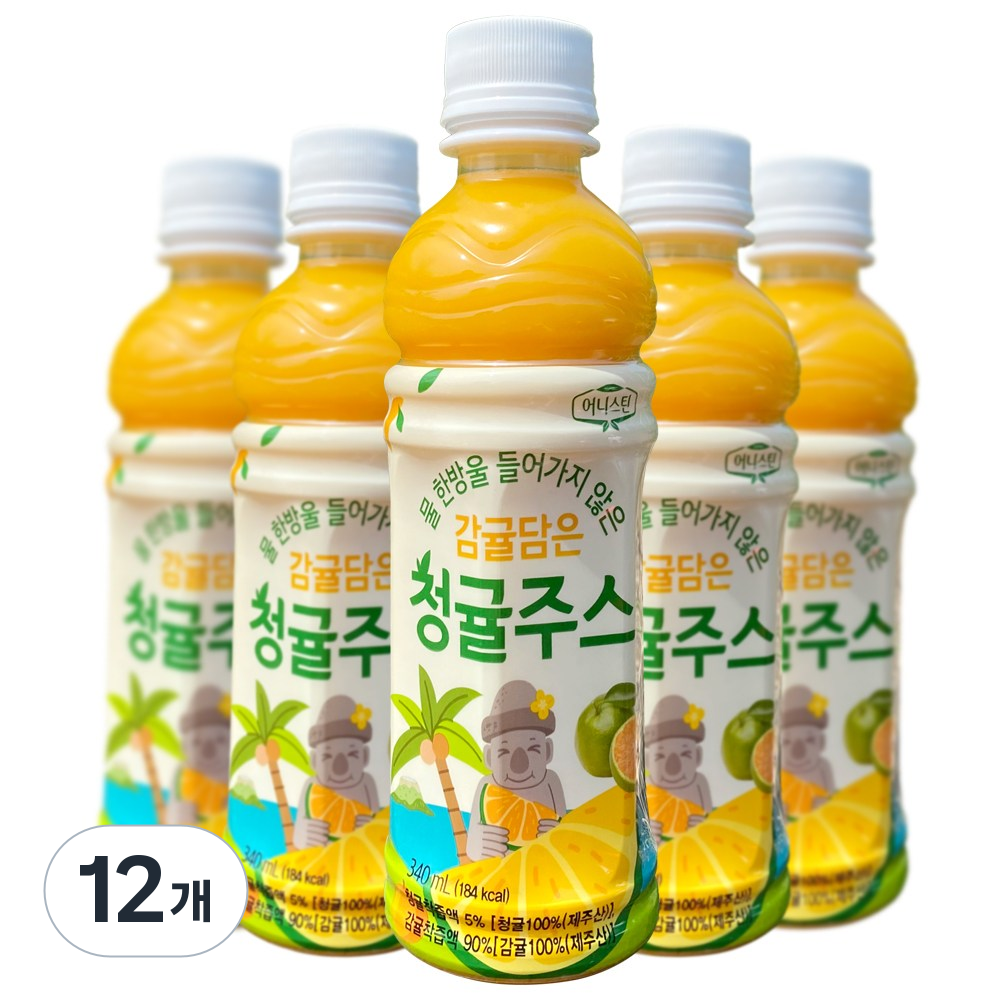 어니스틴 감귤 담은 청귤 주스, 제주산, NFC주스, 감귤 주스, 학교 간식, 교회 간식, 어린이 주스, 어린이집 간식, 12개, 340ml 30,040원