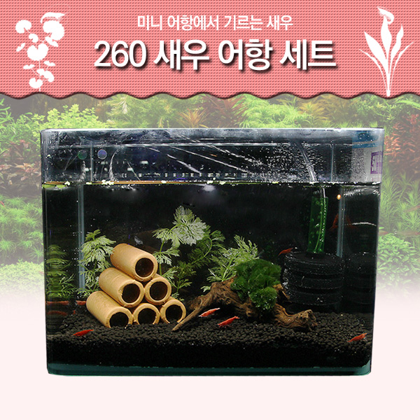 피알피쉬 260 새우 어항 세트 47,000원