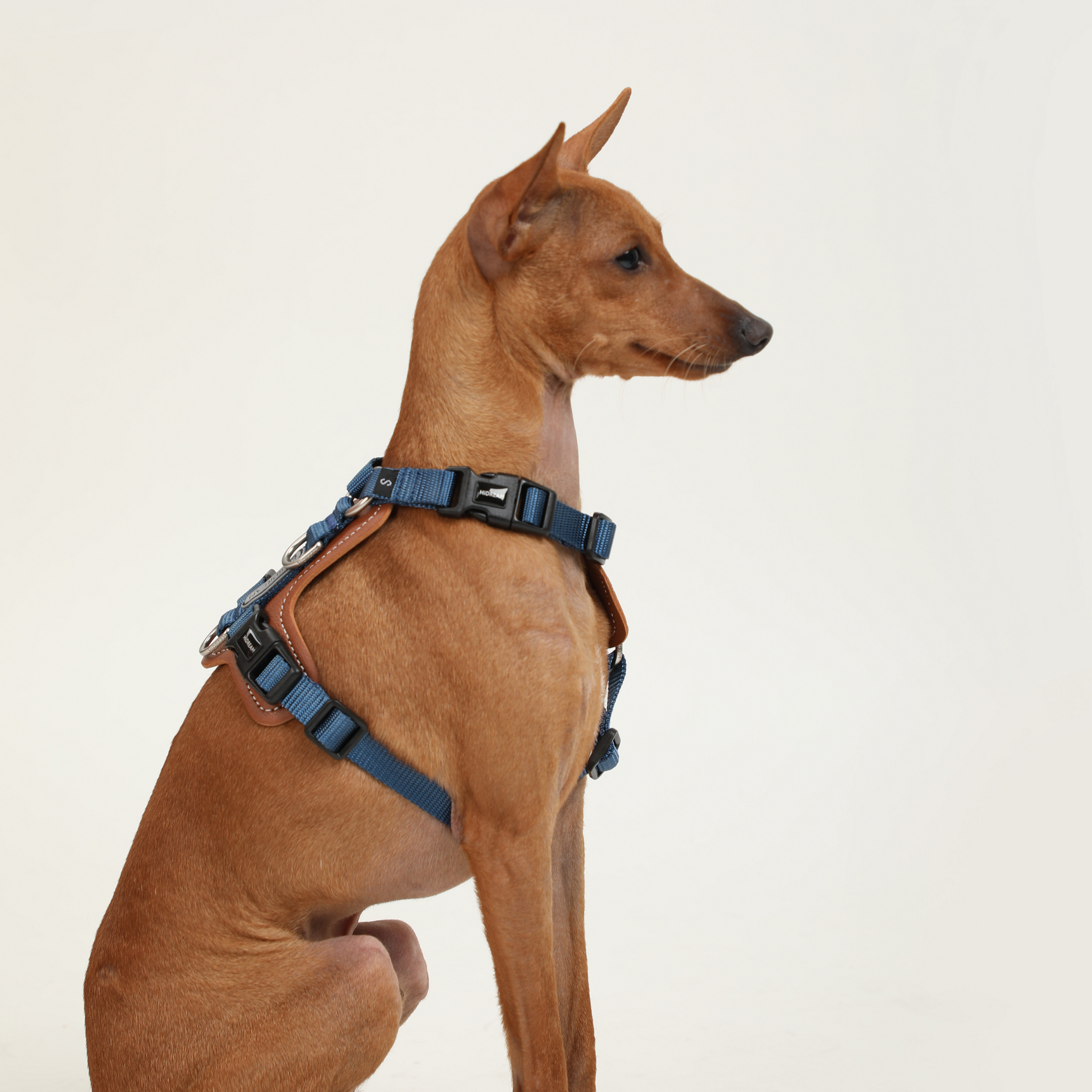 하이드림 H자형 급발진 방지 보호 하네스 36,500원