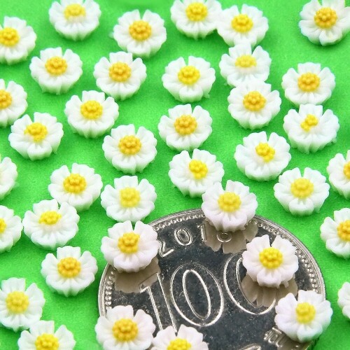 약 50개입 레진 아트 데이지 계란꽃 파츠 700원