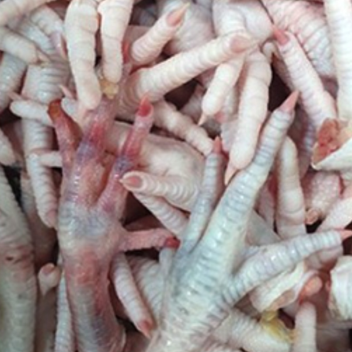 국내산 토종닭발 발톱제거 2kg, 소포장, 약용,토종닭발,발톱없어요, 1개, 토종닭발2kg(발톱제거) 28,900원