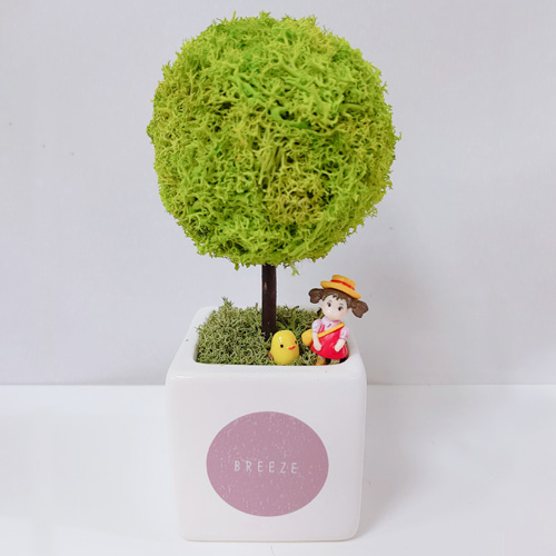 스마일컴퍼니 스칸디아모스 천연이끼나무 공기정화 주문제작 큐브심플트리, 1개 16,900원