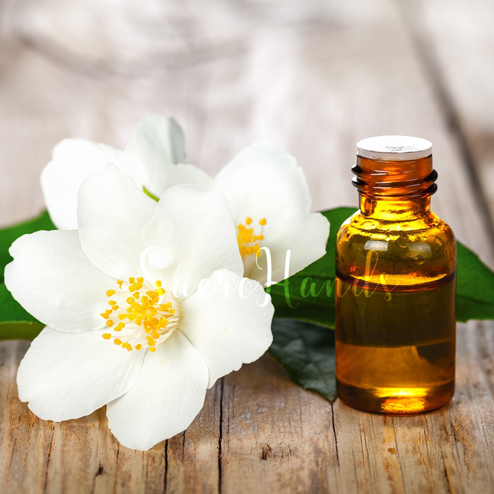 새로핸즈 천연 아로마 에센셜 오일 모음전 50종택1 시트로넬라/유칼립투스/티트리, 14.바질 10ml, 1개 4,000원