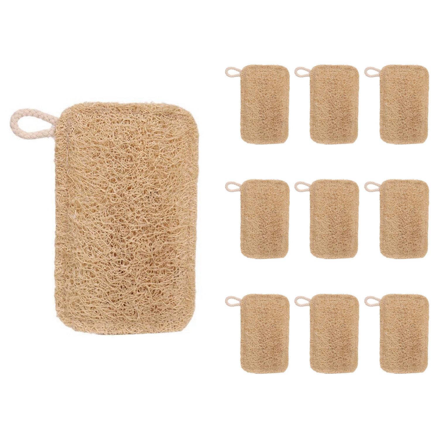 주방 천연수세미 양면 수세미 대형 8,800원