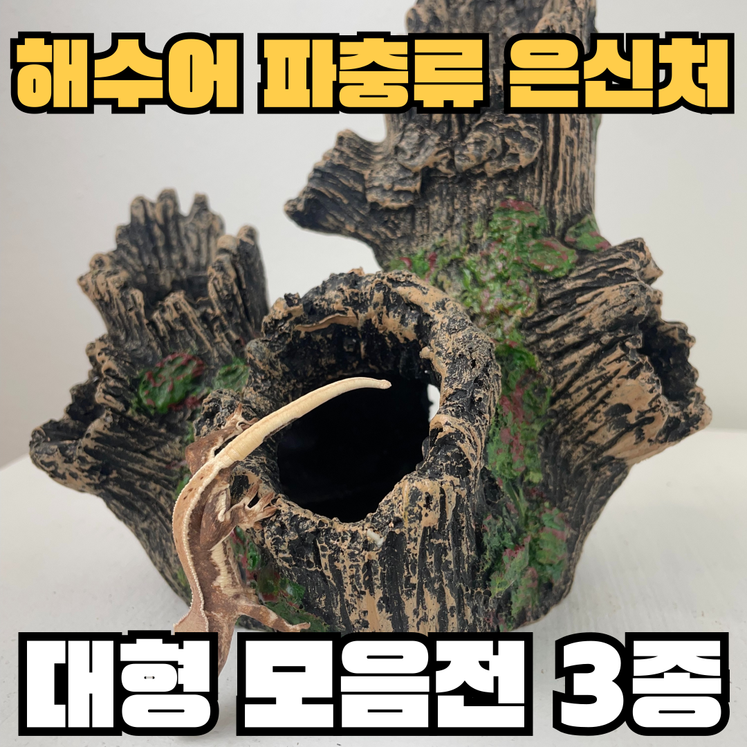 주스터디 도마뱀 은신처 나무요정 수족관 장식 17,950원