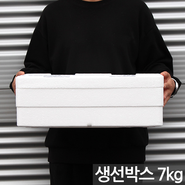 국산 생선 스티로폼 택배 박스 1P - 상자 포장 아이스박스 중형 대형 사각 운반 스티로폴 스치로폼 스치로폴 낱개 어상자 생선박스 어패류박스 고기상자 생선상자 9,500원