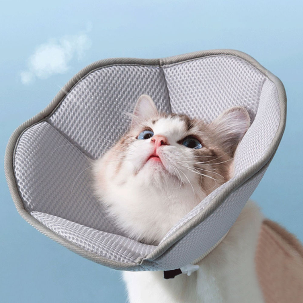 딩동펫 반려동물 소프트 에어 메쉬 넥카라 8,500원