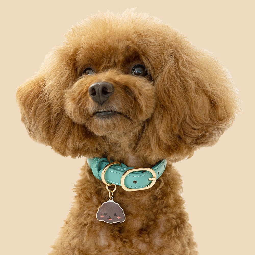 아미펫 캐릭터 이름표 컬러가죽 목줄 20,150원