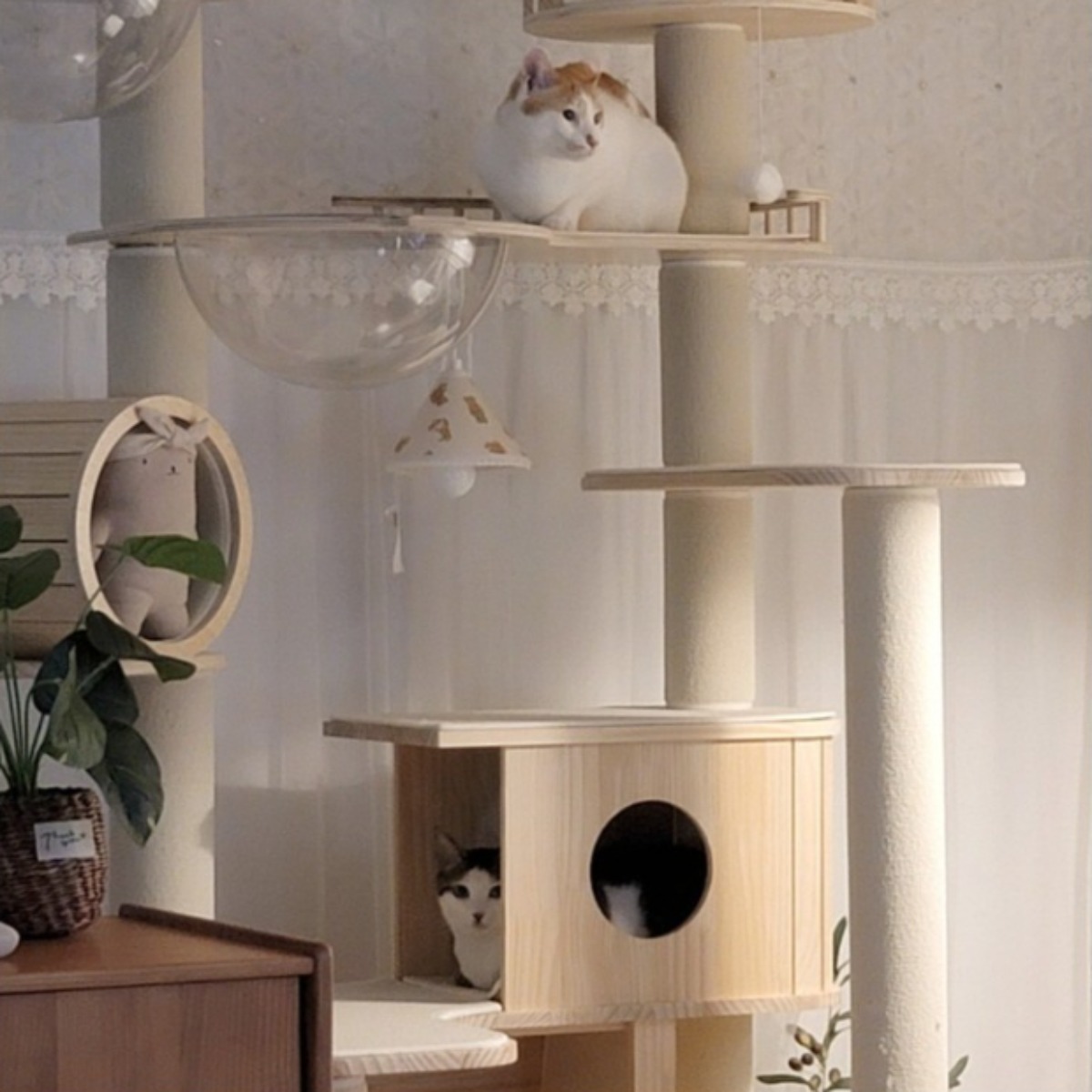 가르르 원목 고양이 캣타워 캣폴 갤럭시 캣타워 1,061,000원