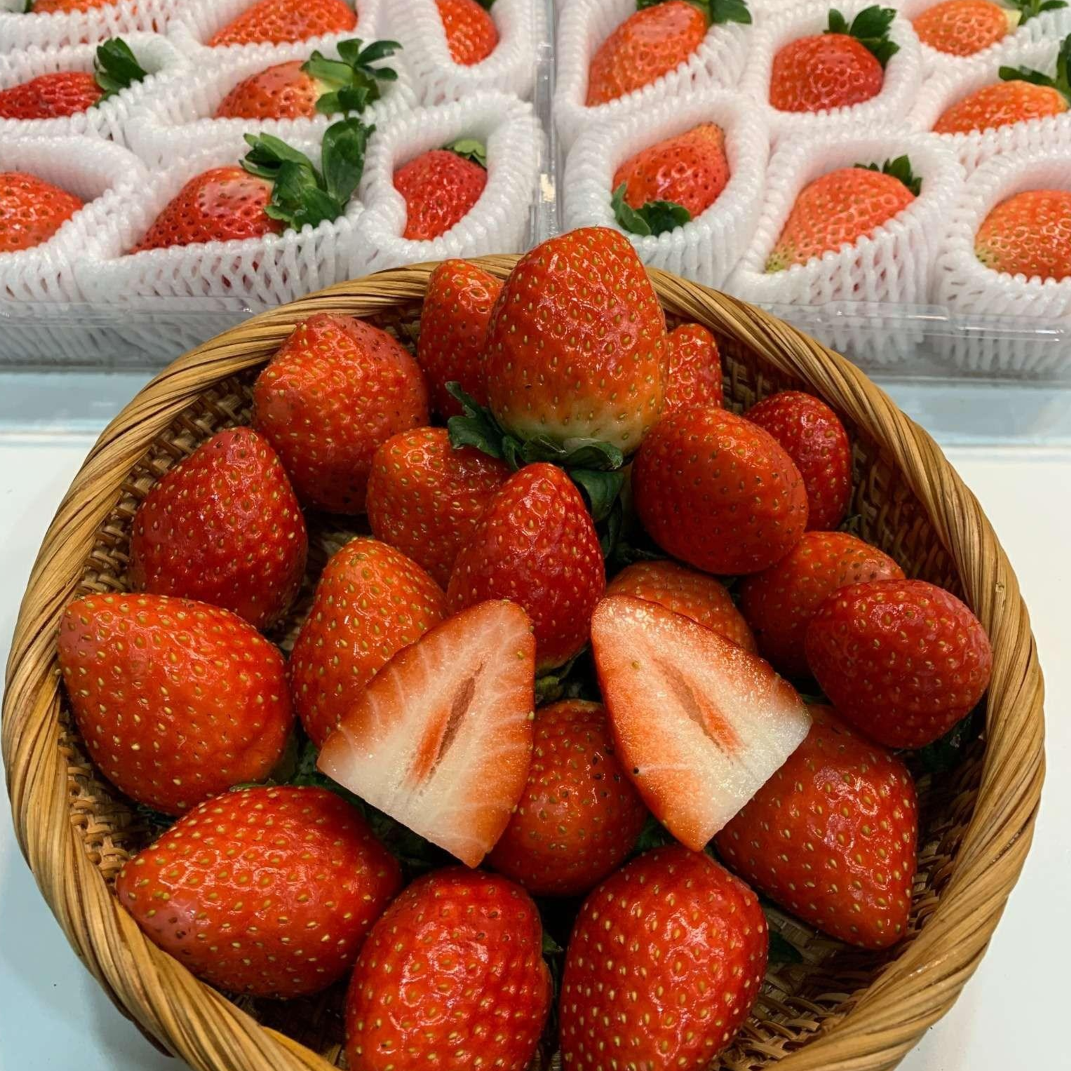 [프리미엄 설향] 당일수확 고당도 설향 딸기 신선보장 21,000원