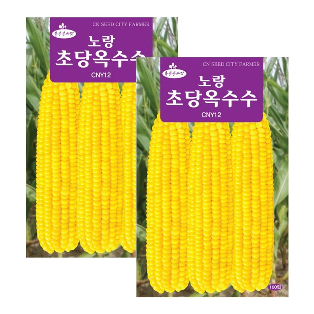 노랑 초당옥수수 씨앗 100립 옥수수씨 8,800원