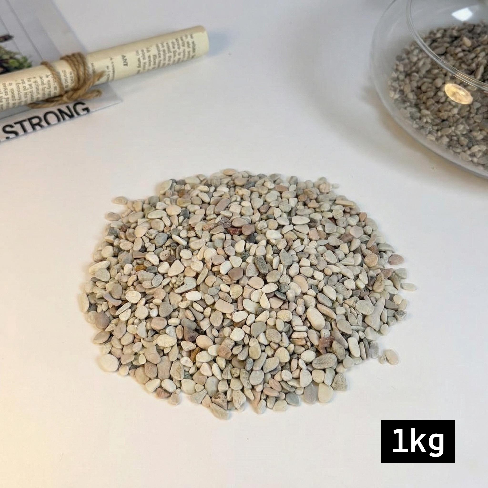 프리미엄 콩자갈 베이지 그린, 1개, AK콩자갈, 2-5mm, 1kg 5,800원