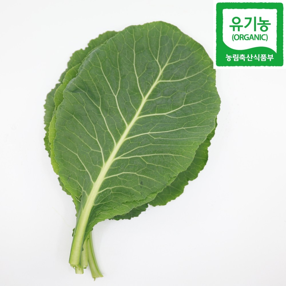 친환경 국산 유기농 쌈케일, 1개, 300g 5,790원