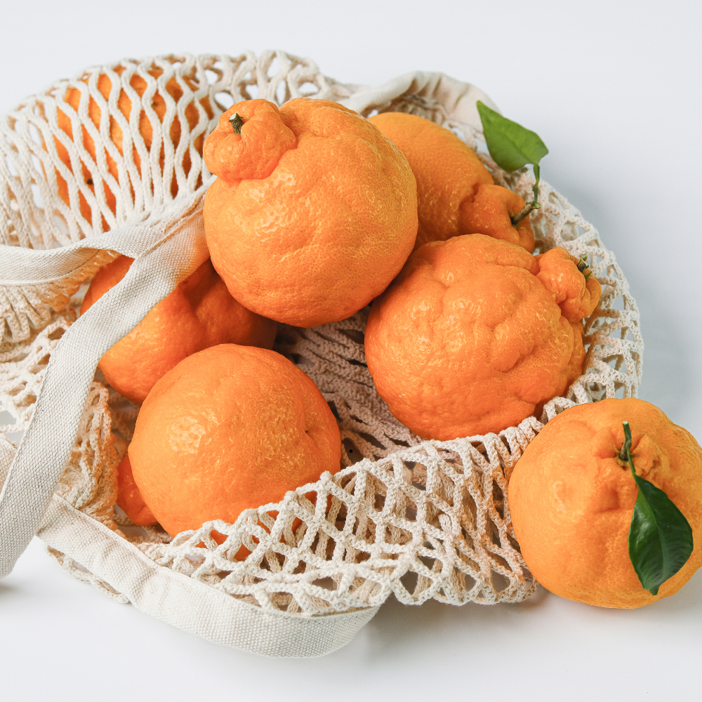 선한마켓 제주직송 한라봉 당도선별 42,000원