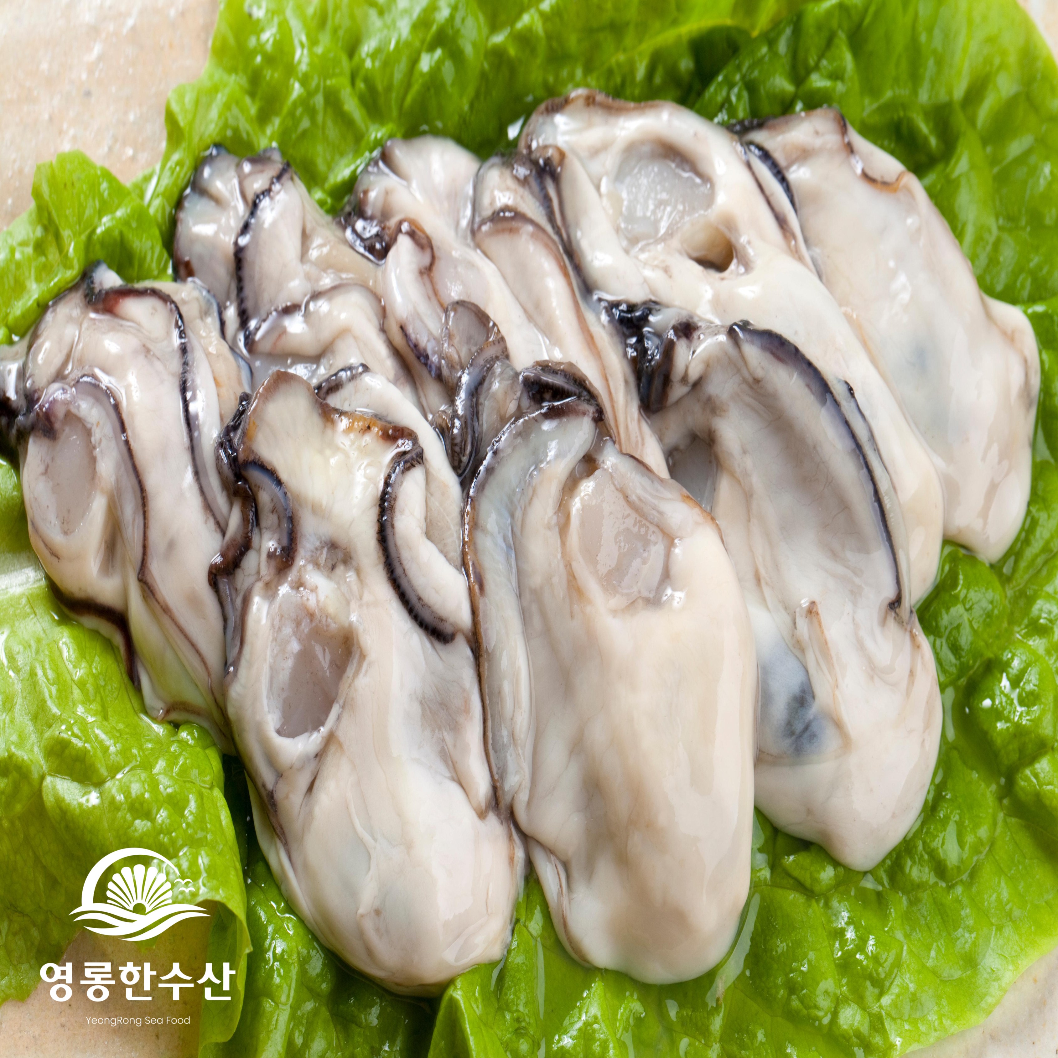 영롱한수산 (산지직송) 여수산 제철 생물 석화 5kg, 깐굴 1kg 17,900원