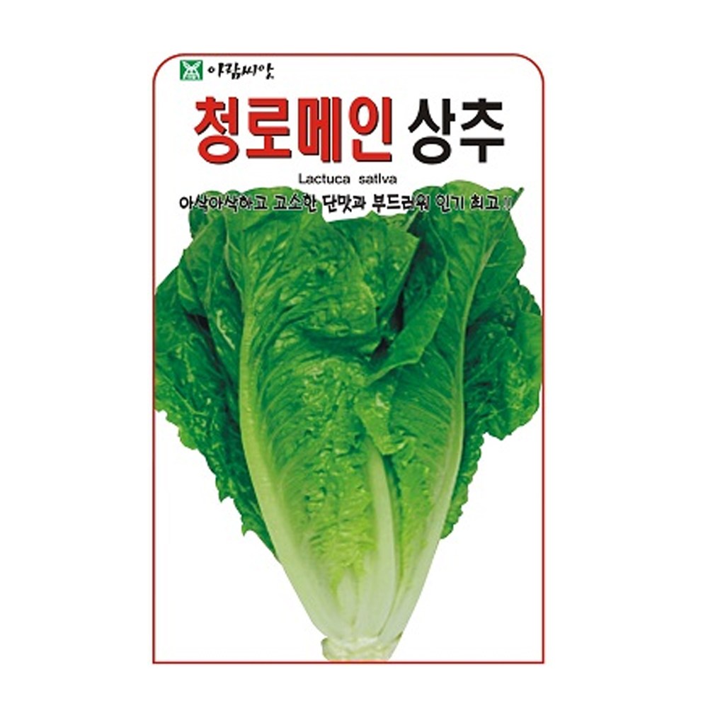 청로메인 상추 씨앗 1000립 종자, 4개, 현재가 9,460원