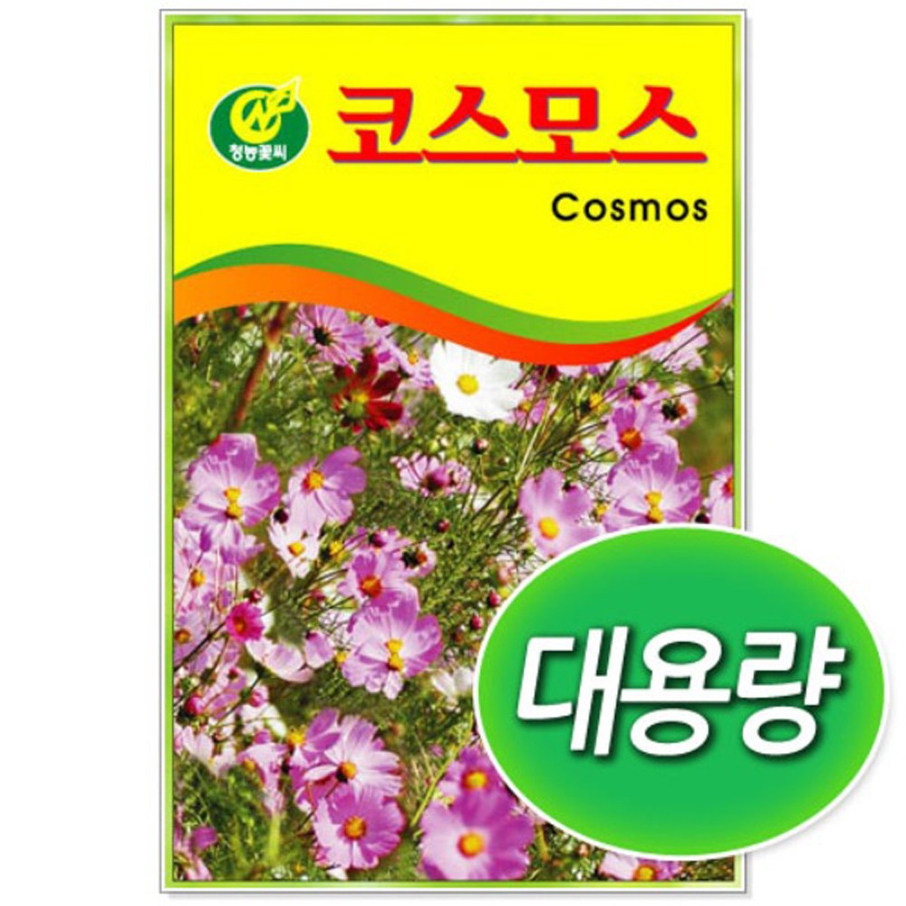 [토단] 대용량 코스모스 씨앗 1kg, 1kg 36,940원