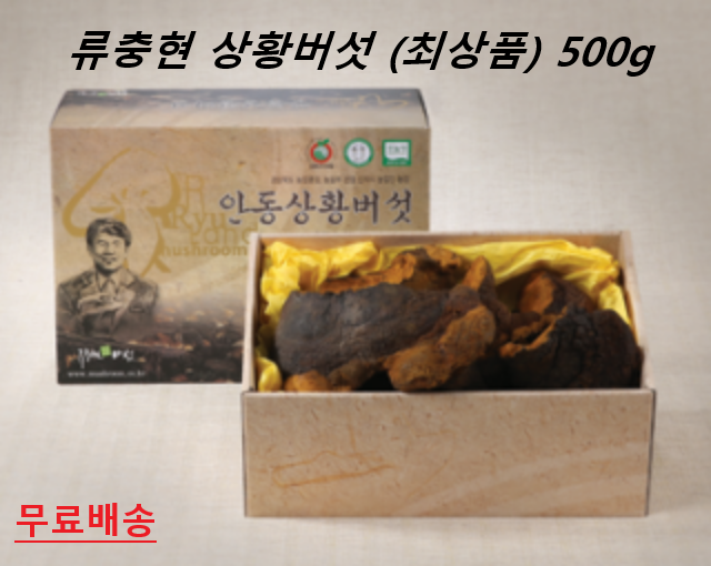 최상품 류충현 약용버섯 상황 버섯 국내산 국산 참나무 상황버섯 뽕나무 고급 버섯 선물세트 500g, 단일상품, 1세트 575,000원