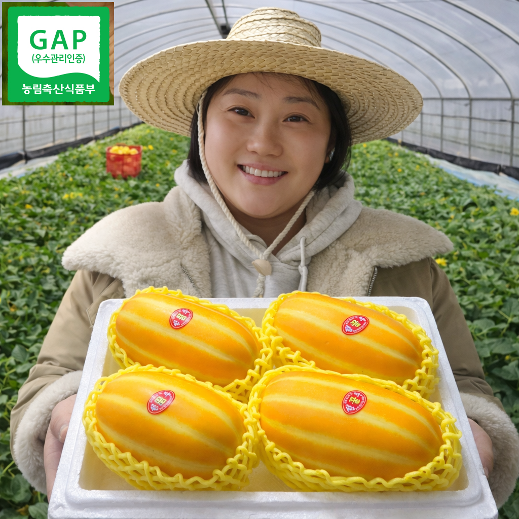 [상위1% ] 산지직송 고당도 경북 성주 참외 28,900원