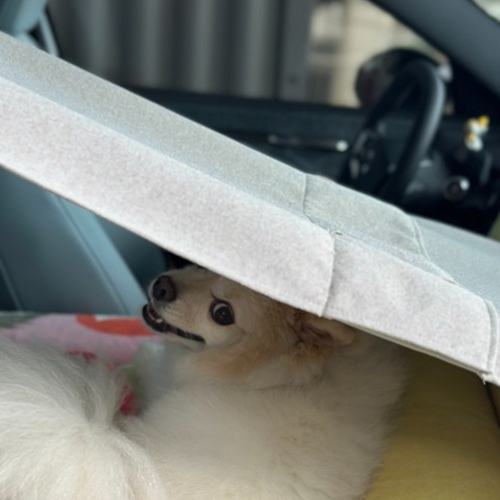 힛찌 모든 카시트에 호환되는 차양막 67,700원