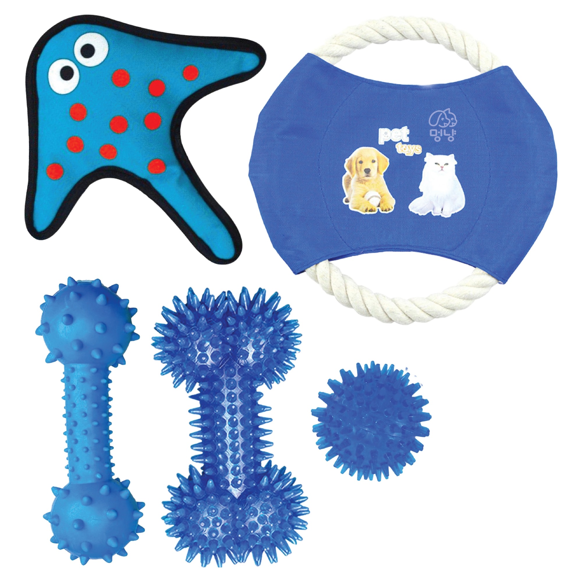 멍냥 반려동물 프리스비 터그놀이 치석제거 장난감 5종 세트, 블루, 1세트 14,900원