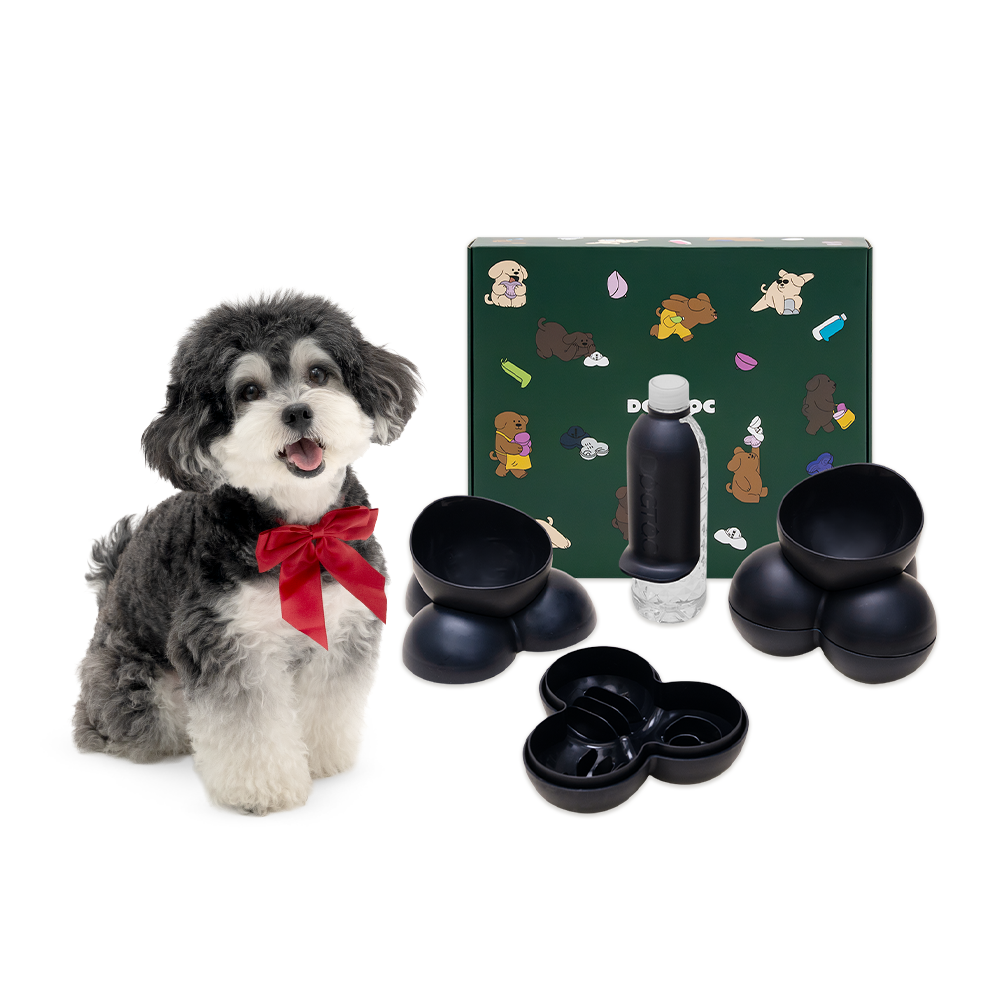 독톡 강아지 오유 그릇 선물세트 높이각도조절 시야차단 슬로우식기 물그릇 BPA FREE 26,000원