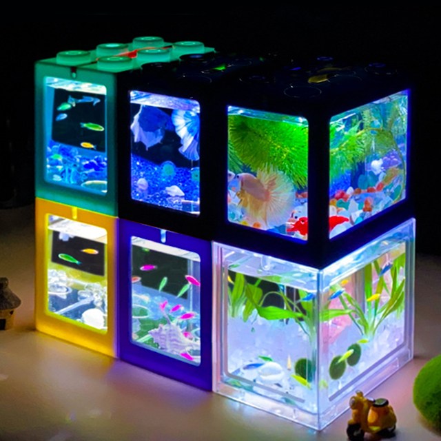 블럭 어항 구피 마리모 베타 새우 키우기 물멍 작은 물고기 치어 미니 블록 수조 먹이 1,500원