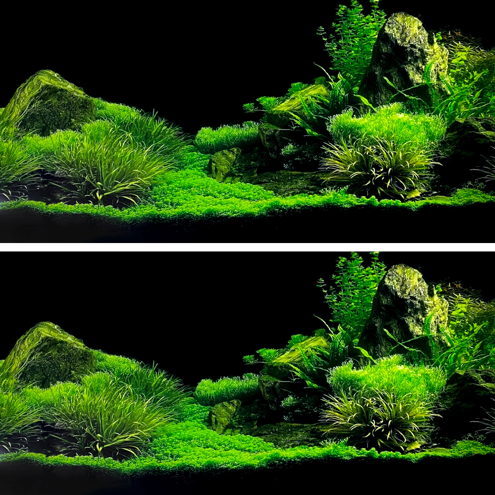 미미네아쿠아 어항 백스크린 10,420원