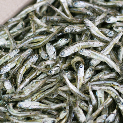 마린보이푸드 중멸치 21,900원