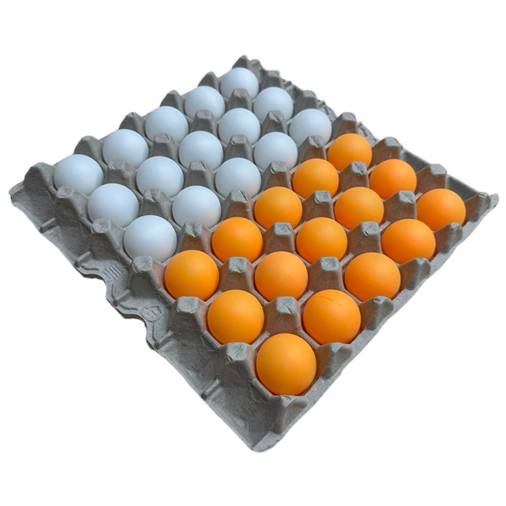 KC인증탁구공 SNS화제 에클라트 계란판 탁구공 오목 빙고 게임 11,600원