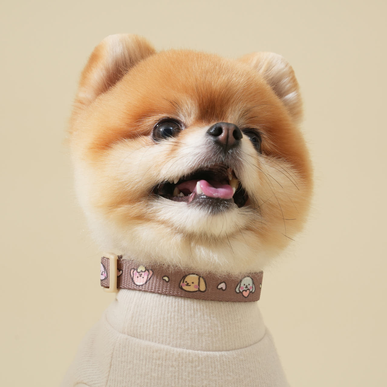 힛찌 초경량 패턴 강아지목줄 부드러운 초소형견 소형견 중형견 목줄 12,900원