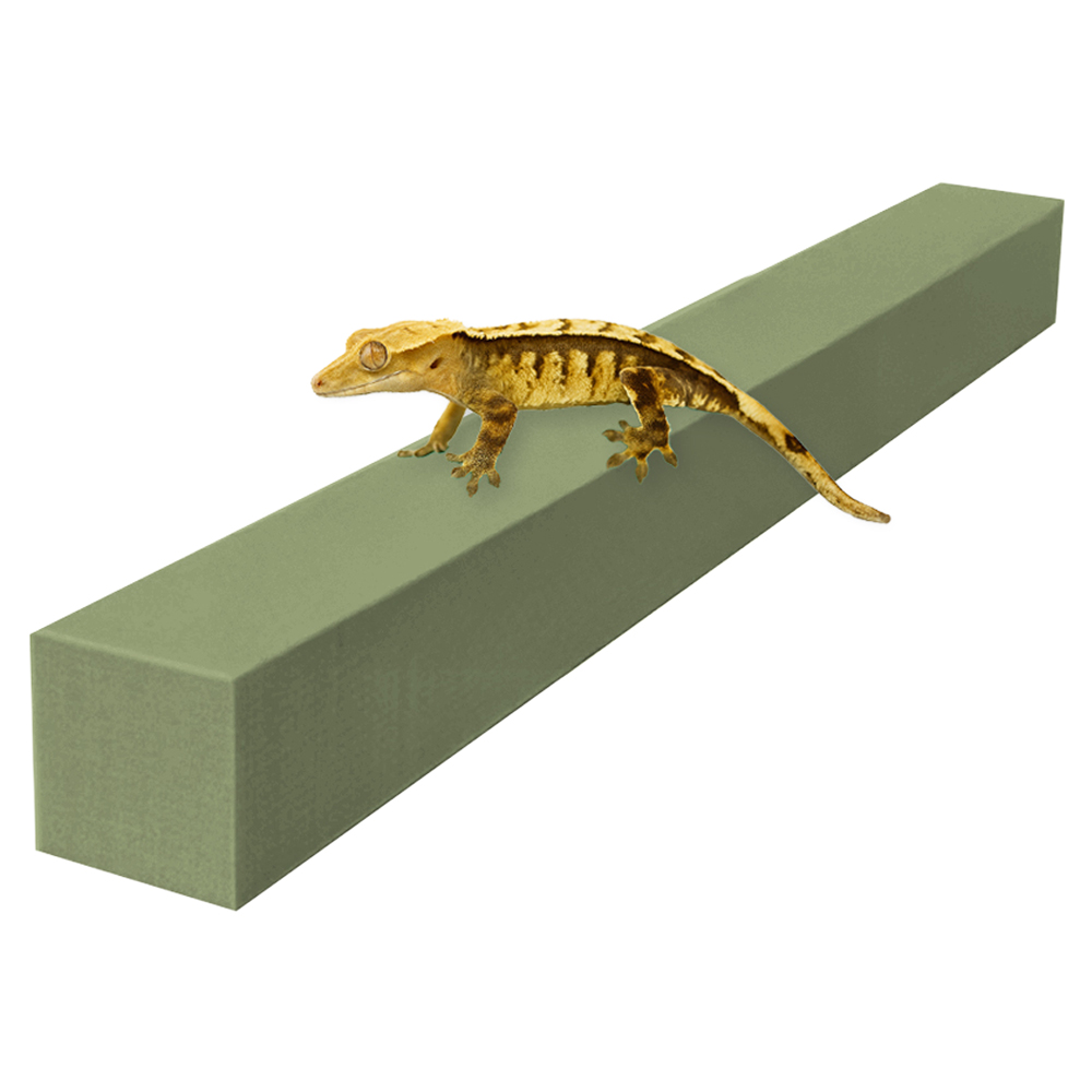 레몽크리프 도마뱀 파충류 크레스티드게코 EVA 고밀도백업 3 x 3 x 50 cm, 올리브, 1개 5,000원