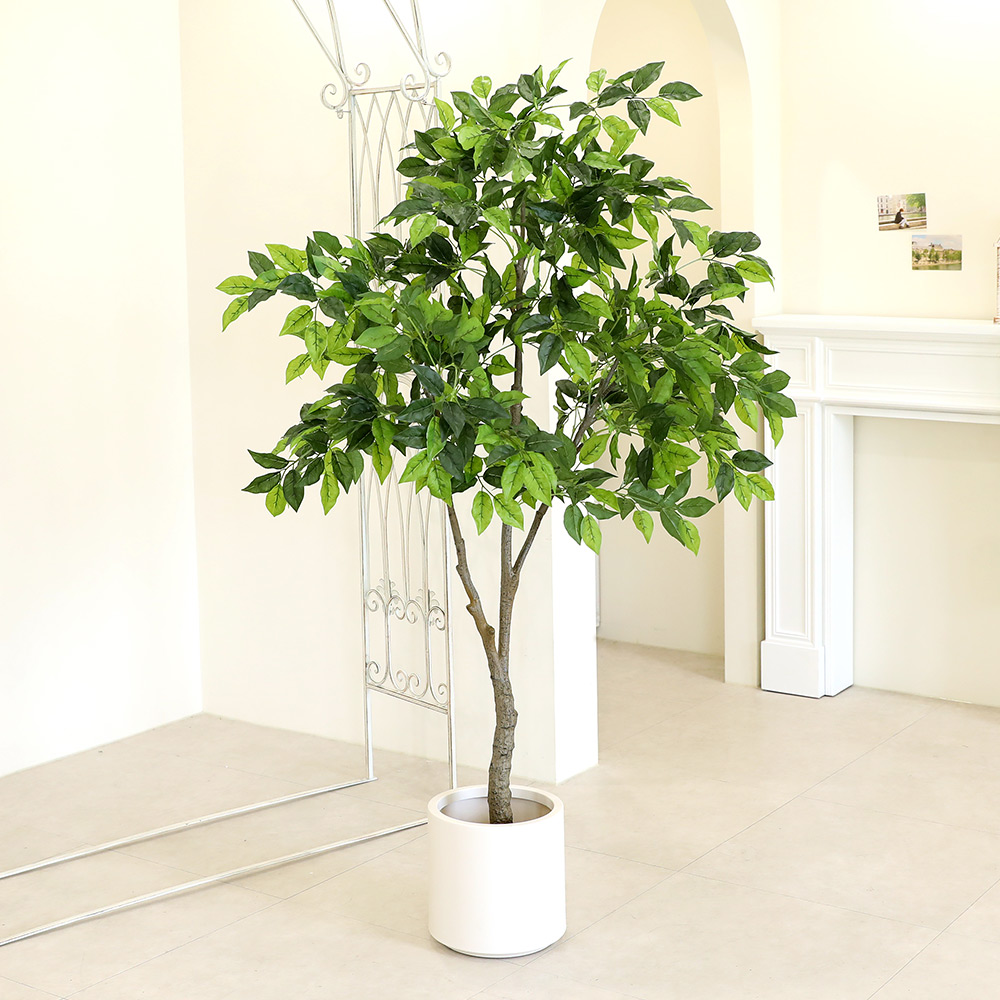 인테리어 조화 나무 조경 사무실 벤자민, 170cm, 1개 74,900원