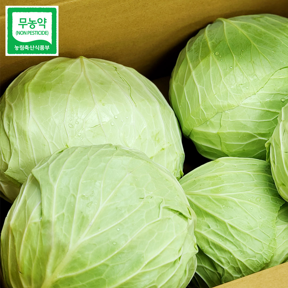 울팜 아삭 달달 국내산 친환경 양배추 제주 무안 밀양, 3kg, 1박스 14,500원