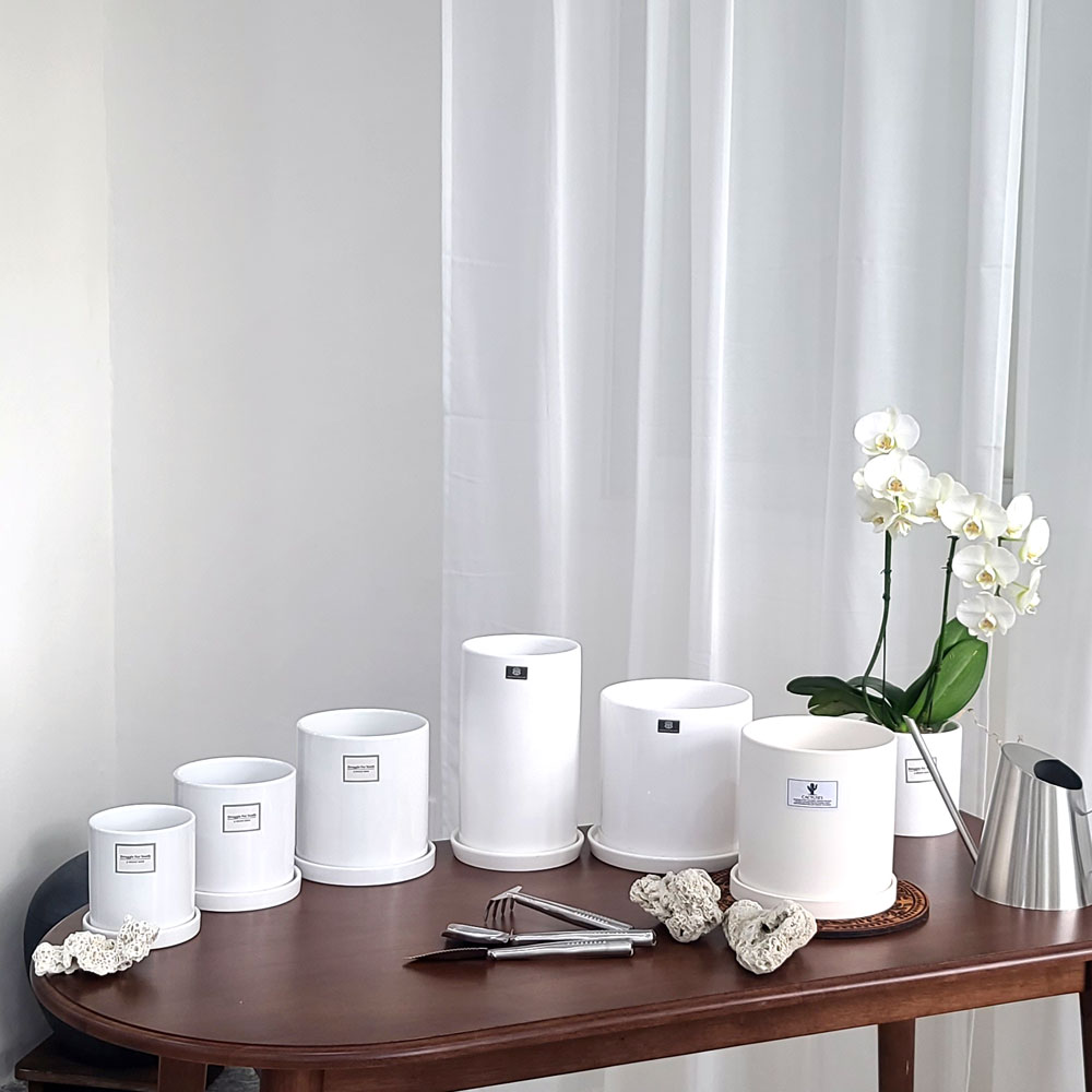 원형 받침세트 세라믹 도자기 화분 유광 화이트 10x11cm, 1개 21,250원