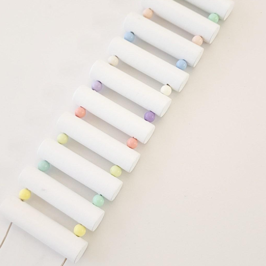 시즌마루 파충류 도마뱀 크레스티드 게코 백업 사다리 출렁다리 사육장 8,520원