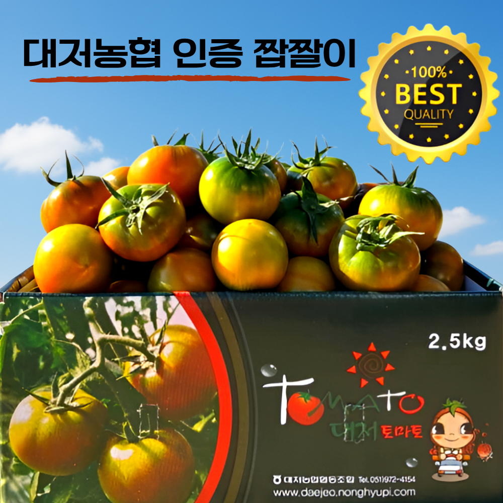 [농협인증] 정품 대저토마토 오리지널 짭짤이 부산 산지직송 2.5kg 16,990원