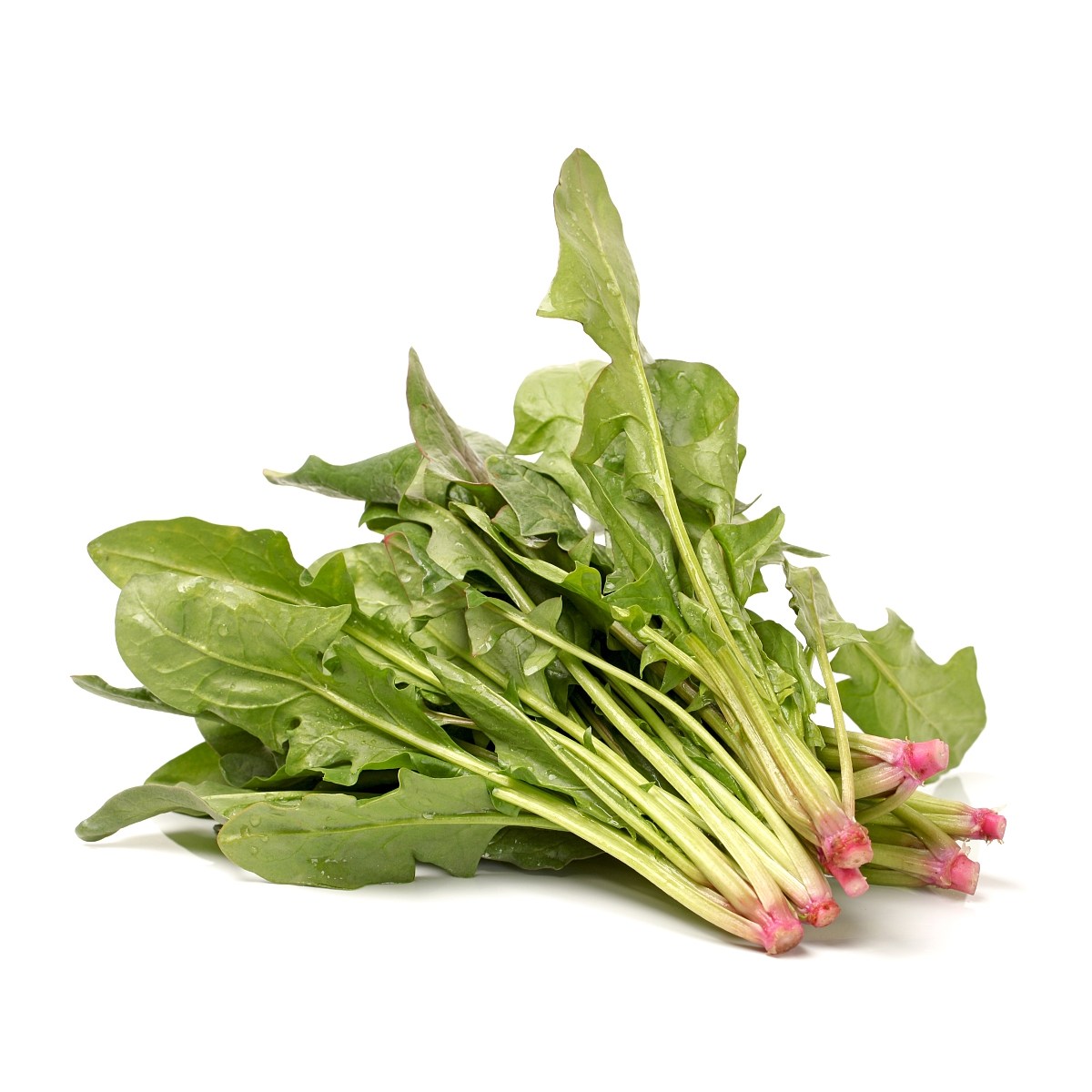 [한정수량초특가] 갓수확남해직송 달큰한 보물초 섬초 28,900원